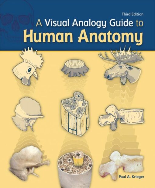 A Visual Analogy Guide To Human Anatomy ETextZone A Visual Analogy Guide To Human Anatomy ETextZone